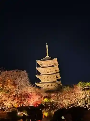 東寺（教王護国寺）(京都府)