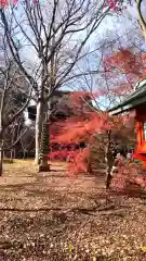 淨眞寺(東京都)