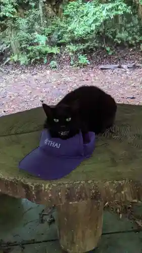 玉野御嶽神社の動物