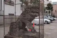 今戸神社の狛犬