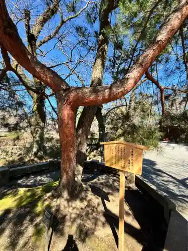 三嶋大社(静岡県)