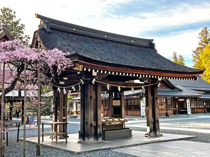 多賀大社の手水舎