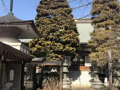 徳蔵寺の本殿・本堂
