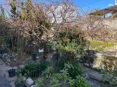 円照寺(兵庫県)