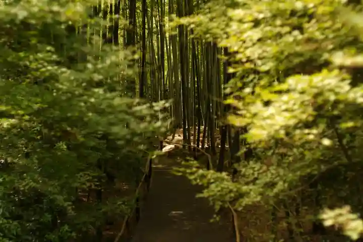 高台寺(高台寿聖禅寺・高臺寺)(京都府)