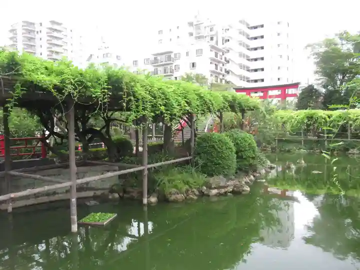 亀戸天神社の庭園