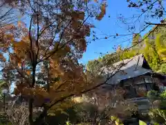 天台宗　長窪山　正覚寺の自然