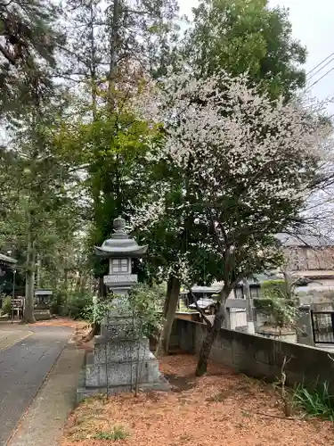 久我山稲荷神社(東京都)