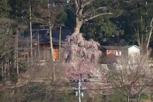 阿久津「田村神社」（郡山市阿久津町）旧社名：伊豆箱根三嶋三社の景色