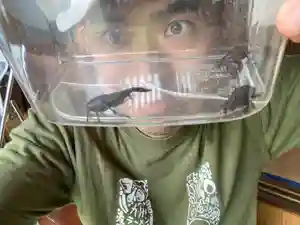 蓮久寺(千葉県)(2021年07月28日(水) 09時20分38秒投稿)