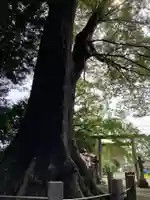 向田神社(栃木県)