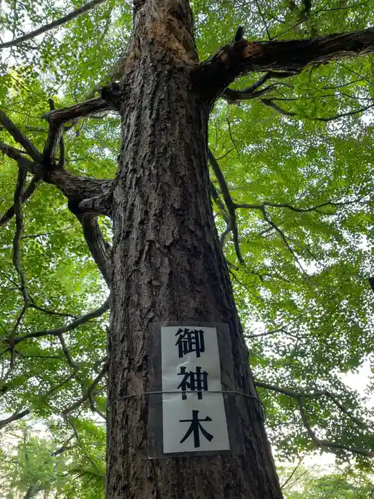 三島神社(徳島県)