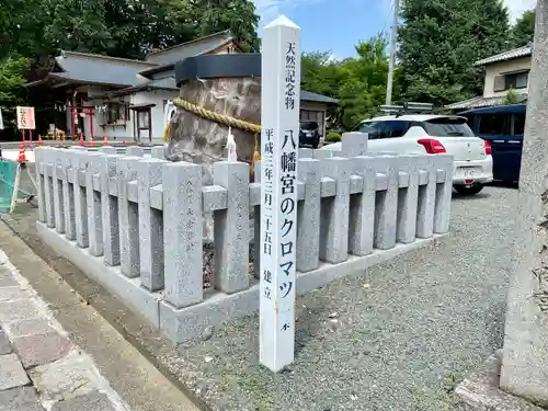 下野國一社八幡宮(栃木県)