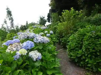 妙音寺のその他建物