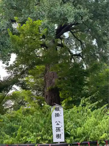 七社神社(東京都)