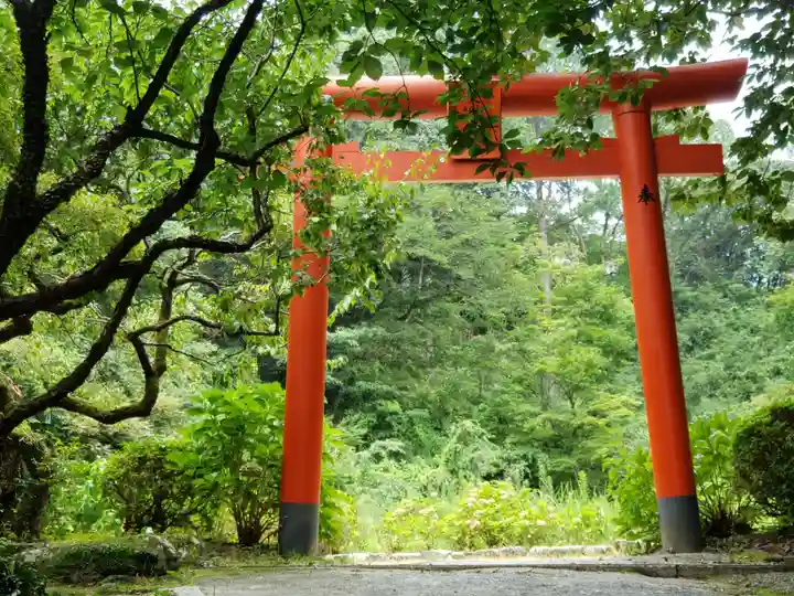 天開稲荷社の鳥居