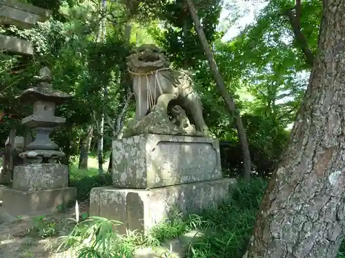 竹内神社の狛犬