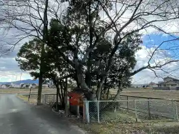 大水神社(御薗町長屋)(三重県)