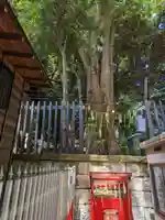 太子堂八幡神社(東京都)