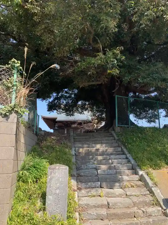 善導大師堂(千葉県)