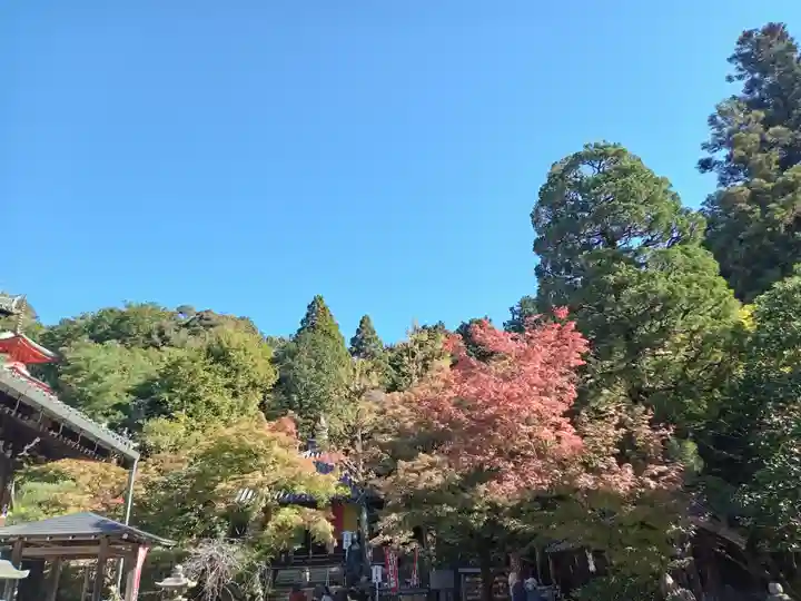 今熊野観音寺(京都府)