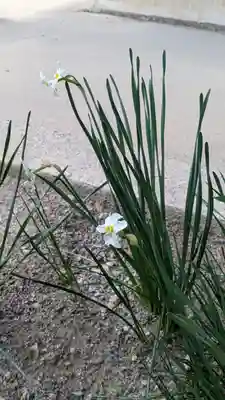 得浄明院(善光寺別院)(京都府)