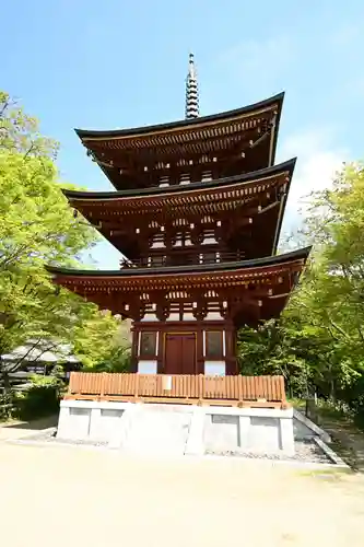 岡寺（龍蓋寺）(奈良県)