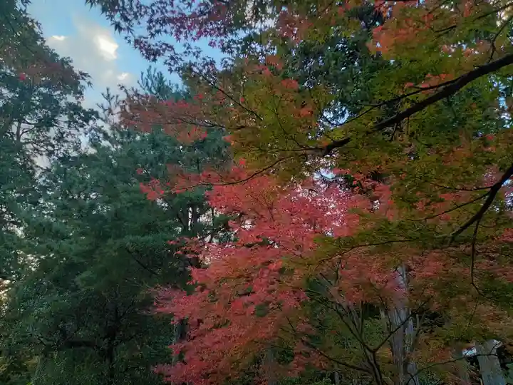 安祥寺(京都府)