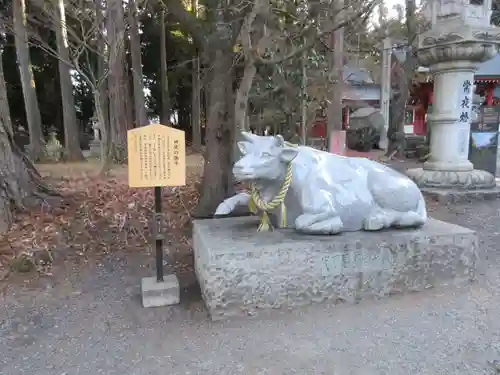 冨士御室浅間神社の狛犬