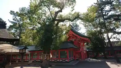 住吉大社の本殿・本堂