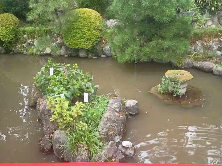 高幡不動尊 金剛寺(東京都)