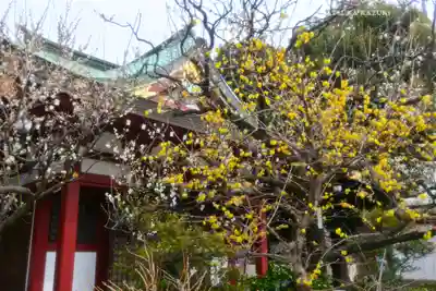 亀戸天神社(東京都)