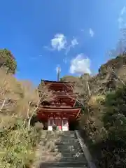 浄瑠璃寺(京都府)