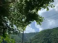 金花猫大明神の周辺