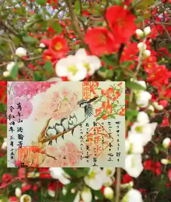 和歌の御朱印4月 ｢徒桜-あだざくら-｣