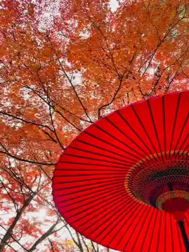 土津神社｜こどもと出世の神さまの景色