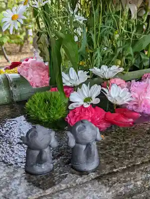 勝林寺(京都府)