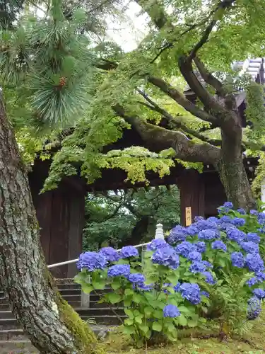 知恩院の庭園