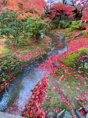 宝厳院(京都府)