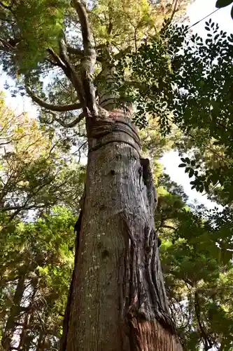 高千穂神社(宮崎県)