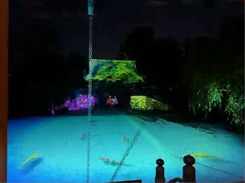 高台寺（高台寿聖禅寺・高臺寺）(京都府)