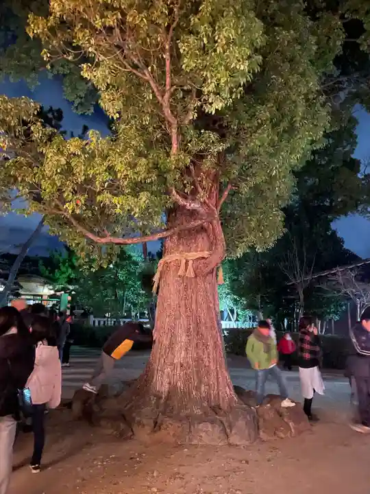 須左男神社(兵庫県)