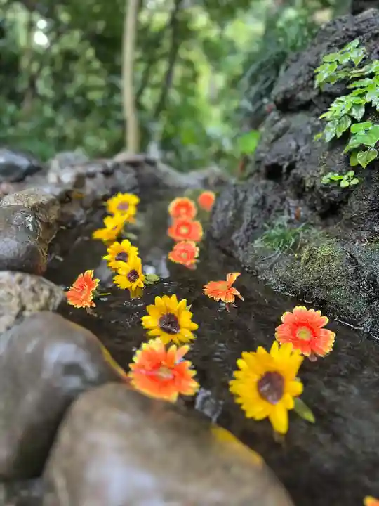 武蔵一宮氷川神社(埼玉県)