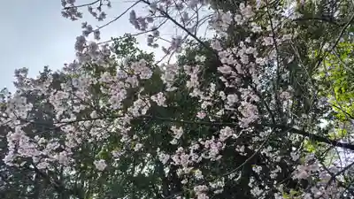 雲龍院(京都府)