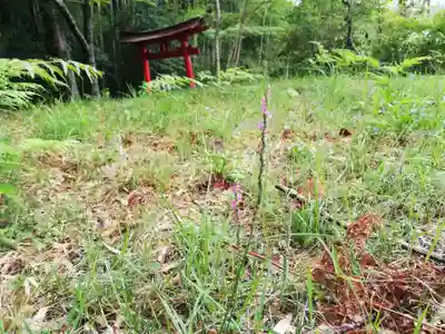 八幡神社の自然