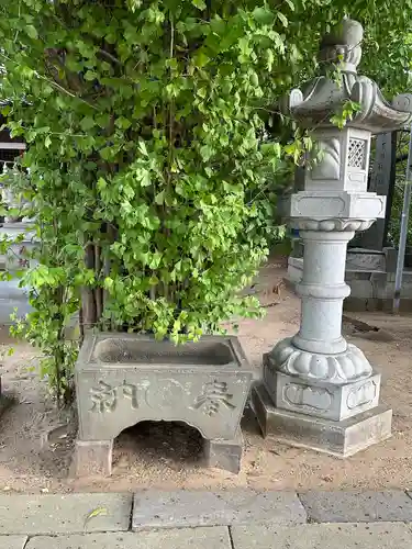 高石神社(千葉県)