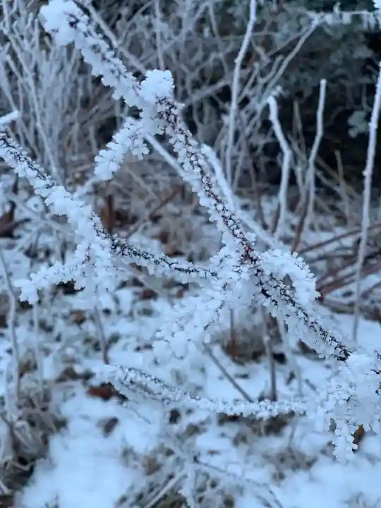 釧路一之宮 厳島神社の自然