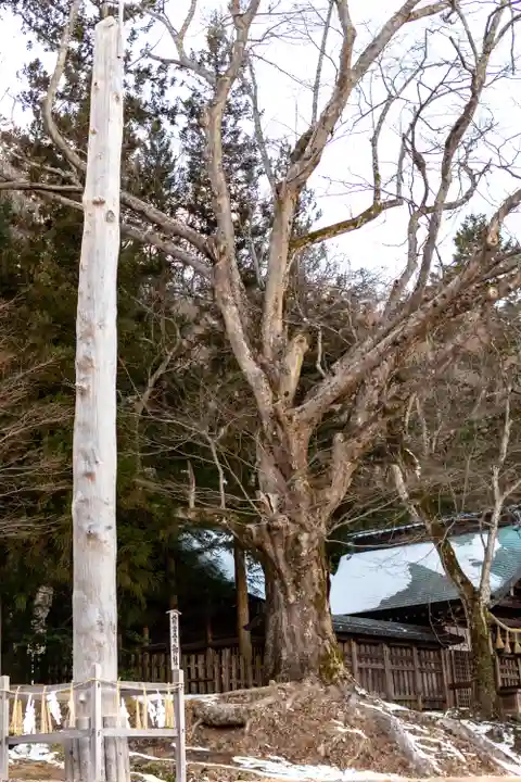 諏訪大社上社前宮(長野県)