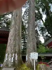 日光二荒山神社(栃木県)