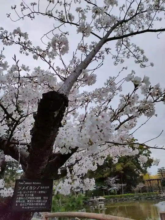 豊國神社の庭園